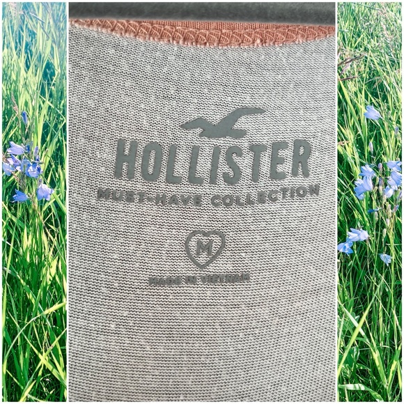 🌿HOLLISTER T-Shirt (M) - Picture 3 of 8